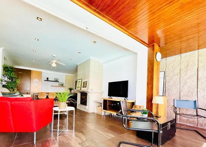 Canido 6 By Ybh Daire *