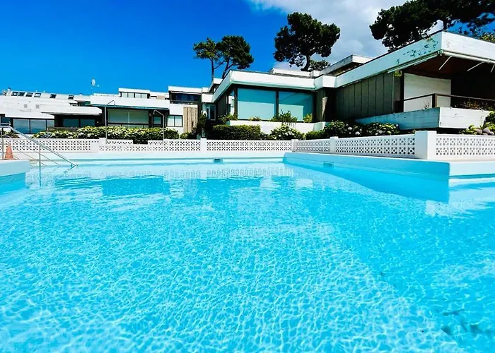 Canido 6 By Ybh Daire Vigo